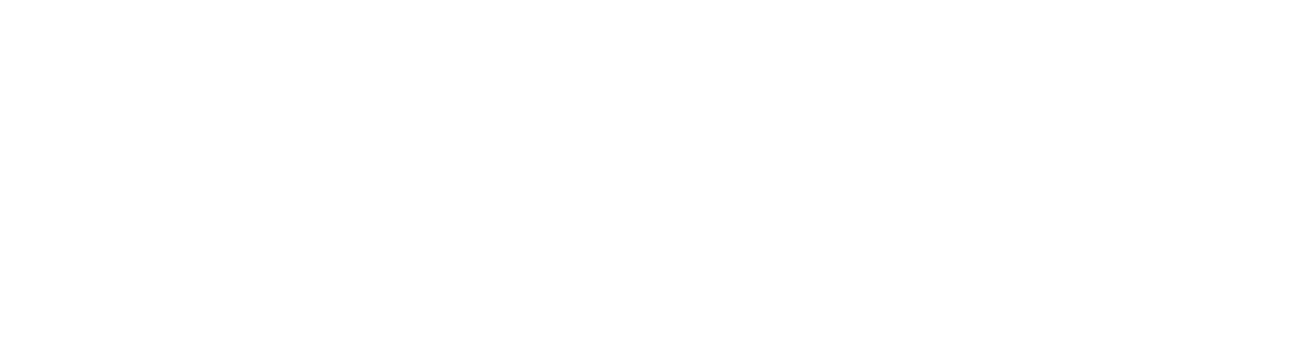 Main Symbol Logo